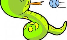 属蛇人的性格特点及其脆弱之处是什么？