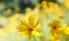 2023年2月21日和22日离开吉利公司会对未来职业发展产生怎样的影响？