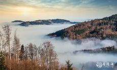 将来的某天,即2023年2月15日和16日,你是否会考虑辞去吉利汽车的工作?