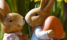 2023年属兔人本命年装修房子:应该考虑吉日选定装修时机,以确保装修质量和生活幸福指数