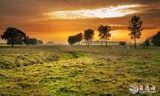 2023年2月11日和12日，离开吉利汽车公司的决定是否明智？