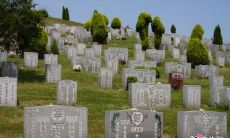 为什么在清明节可以前往祖先墓地修整坟墓，以及清明上坟时为何要插上柳枝？