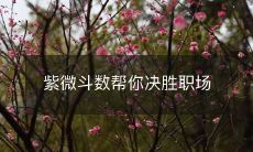 使用紫微斗数来提高你在职场上的胜算