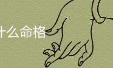 探究卯时命格的特点以及如何分辨上、中、下三种不同的命格类型