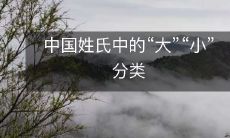 中国姓氏：从“大”“小”分类中了解社会地位和宗族文化的演变