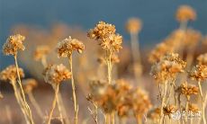 吉利离职：研究显示，2023年2月3日和4日是最佳时间吗？