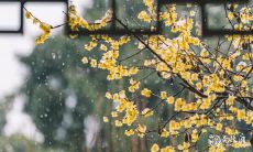 在2023年的2月27日和2月28日,你是否愿意来参加面试呢?