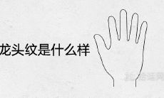 探索帝王手相中龙头纹的特征和意义：你可以从几何形状和纹路变化中读取什么信息？