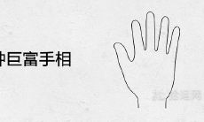 揭秘四种富豪手相：从相术特征看大富大贵的秘密
