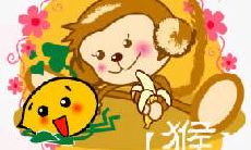 揭示生肖猴的魅力所在:探寻这个活泼聪慧的猴子所持有的非凡特质和吸引力!