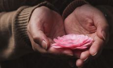 手握多个螺旋夫,两位战斗女性是否拥有凤命?