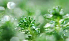 这个题真容易:2023年2月25日和26日你考虑参加面试吗?