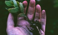 男性出轨者的手相线有哪些特征？一张详实图解揭露出轨行为的先兆！