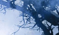 如何选择适合属虎本命年的佩戴品:挂件推荐与建议