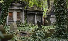 当自家祖坟后面出现新坟时，应该如何决定是否要另立新坟，以及如何进行另立的讲究和步骤？