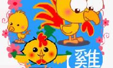 探寻十二生肖中鸡宝宝独特的个性魅力,解析其为何备受喜爱与青睐