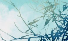 注意本命年:2022年是虎年,要避免哪些事情,需要注意哪些事项?