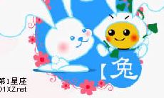 揭秘生肖兔的迷人之处与吸引力来源
