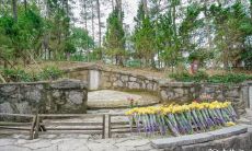 坟墓文化：新坟规矩之一年不上坟的传统，初次扫墓应注意哪些讲究？