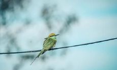 你觉得2023年2月13日和14日这两天进行面试合适吗?