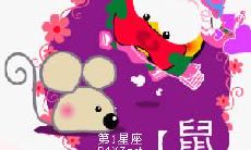 探究生肖鼠迷人之处，揭示何以被尊为第一生肖的秘密！