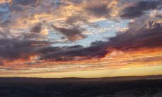 五行属性属于木的人才适合从事哪些行业以实现其职业发展？