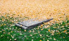 新坟与老坟之间的差别：探究新坟的讲究与优缺点