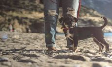 怎样选择适合自己的土命类型,哪一种能够带来最佳的财运和幸运呢?穿戴什么能让自己旺运连连呢?——详解6种土命类型的优缺点与运势,以及正确选择幸运物的关键