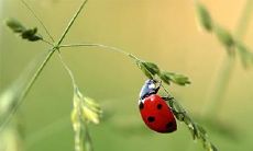 2023年2月7日、8日你想不想来参加我们的面试呢?