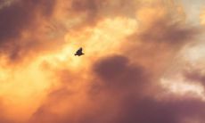 老年人可享受的福利项目有哪些可以让他们安享晚年?