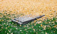 人们烧七坟的源头:探究每七坟的原因和烧七的习俗及其背后的文化寓意