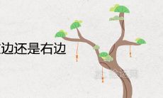 在办公室中放置发财树,应该将其放置在左边还是右边?哪个位置最为适宜发财和提升工作效率?