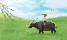 探究属牛男人的性格：优点与缺点，是否倾向于暴躁？