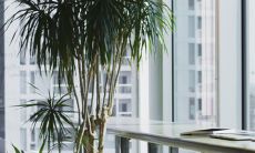 如何在办公桌上摆放风水摆件以招财旺财？选择哪种风水摆件最好？