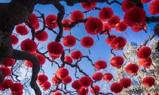 正月十三的祈福与农历十三的相关传说——好不好,值得了解吗?