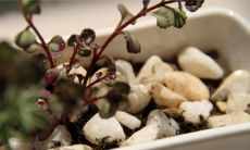 揭秘财务办公室最佳风水布局 - 详解座位摆放方案及注意事项