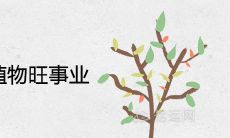 办公室选择适合风水布置的植物,不仅可以旺事业旺财,还能更好地增强办公室的吉祥寓意和气场!