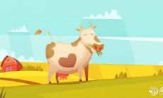 如何根据属牛人的风水习惯和办公习惯来设计办公室布局,以最大化利用办公空间的效益,同时提高个人的工作效率