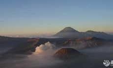 哪个生肖最虚伪?在撒谎和欺骗方面最擅长的生肖是哪一个?