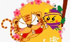 揭示生肖虎独特的个性魅力与吸引力