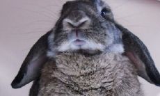 生育时间选择:2022年或2023年?为什么选虎宝或兔宝会带来好处呢?