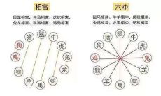 每日生肖冲煞预测:2022年10月7日哪些生肖会受到冲击,属于哪些生肖需要注意?