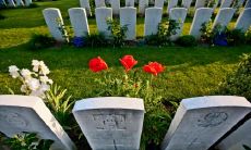 墓地选址的讲究:详解如何在公墓中选一个适宜的位置来安葬自己或亲人