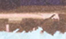 当生肖羊遭遇恋人的背叛时,应该采取哪些措施来处理情感纠葛?