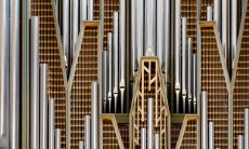 如果一个人出生时八字命盘中没有金元素,他们将会面临哪些具体的处境和挑战?