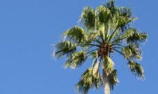 尽管八字并不理想,但依然能拥有大富大贵命格,创造成功人生!