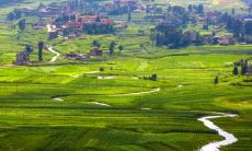 详解农村坟地风水禁忌,探索众多防忌措施,揭开祖先陵墓与家族命运的玄机