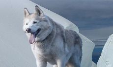 详细解析:1982年出生的大海水命人如何在哪个水命方位提升财运?