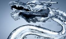 探讨龙与哪些生肖最配合,以及属鼠女优秀的开源节流能力与杰出配对之道