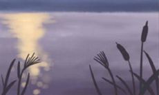 在恋爱和性方面,属马人的心理倾向和行为模式是怎样的?